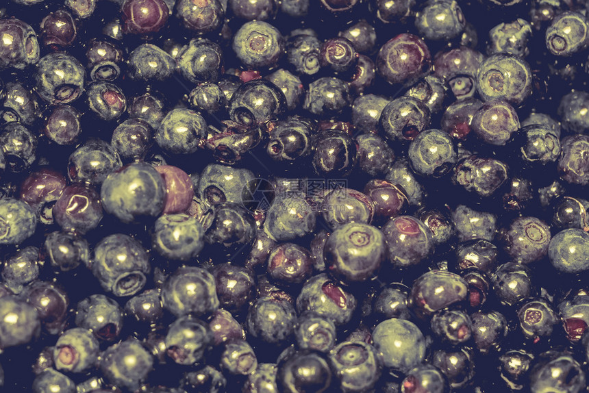 美味的新鲜蓝莓背景过滤了近身照片图片