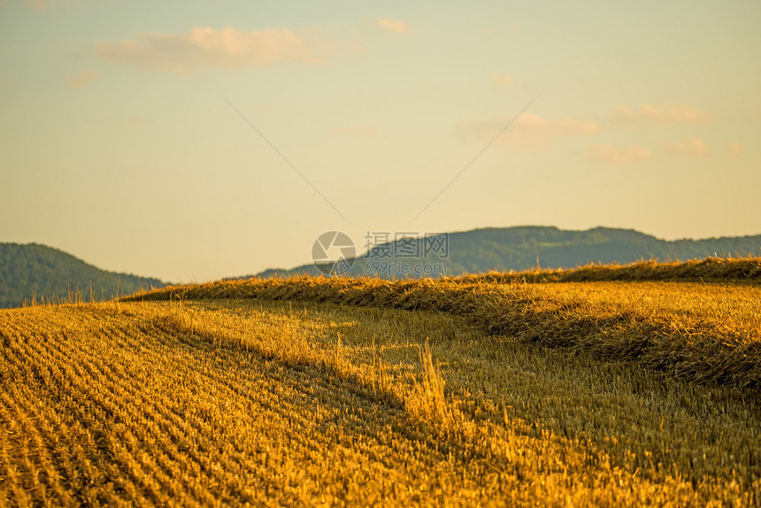 带稻草和全景观望至德意志高地斯瓦比亚阿尔巴图片