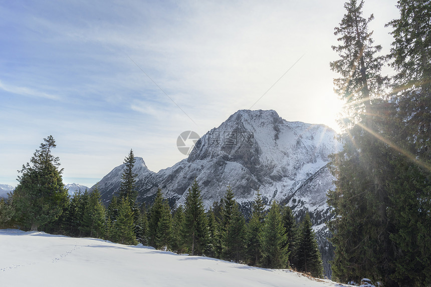 冬天的风景阳光照耀在雪地的奥斯特里亚阿尔卑山绿林和白谷12月在奥斯特里亚的厄尔瓦德图片