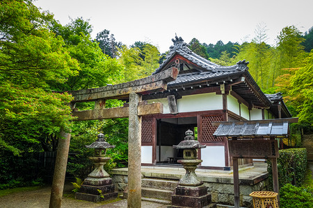 建水朱家花园日本京都岚山竹林中的jojakkoji神殿日本京都的jojakkoji寺庙背景