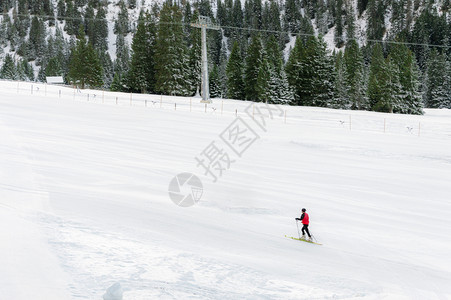 冬天风景最微小雪坡上满是周围都树还有一个滑雪者在奥斯特里亚的厄尔瓦德图片