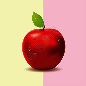脆甜红苹果红苹果食品设计插画