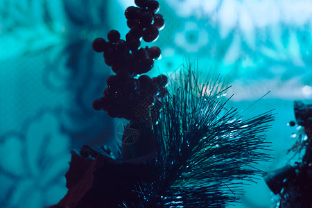 夜景下的圣诞树图片