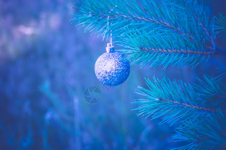 在fir树枝过滤背景上装饰银色圣诞舞会背景图片