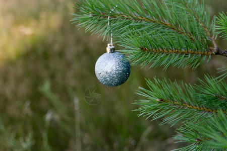 佛林树枝背景上的装饰银色圣诞舞会背景图片