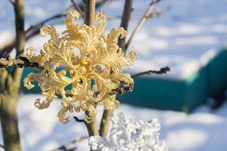 鲜白雪上闪发光的金雪花图片