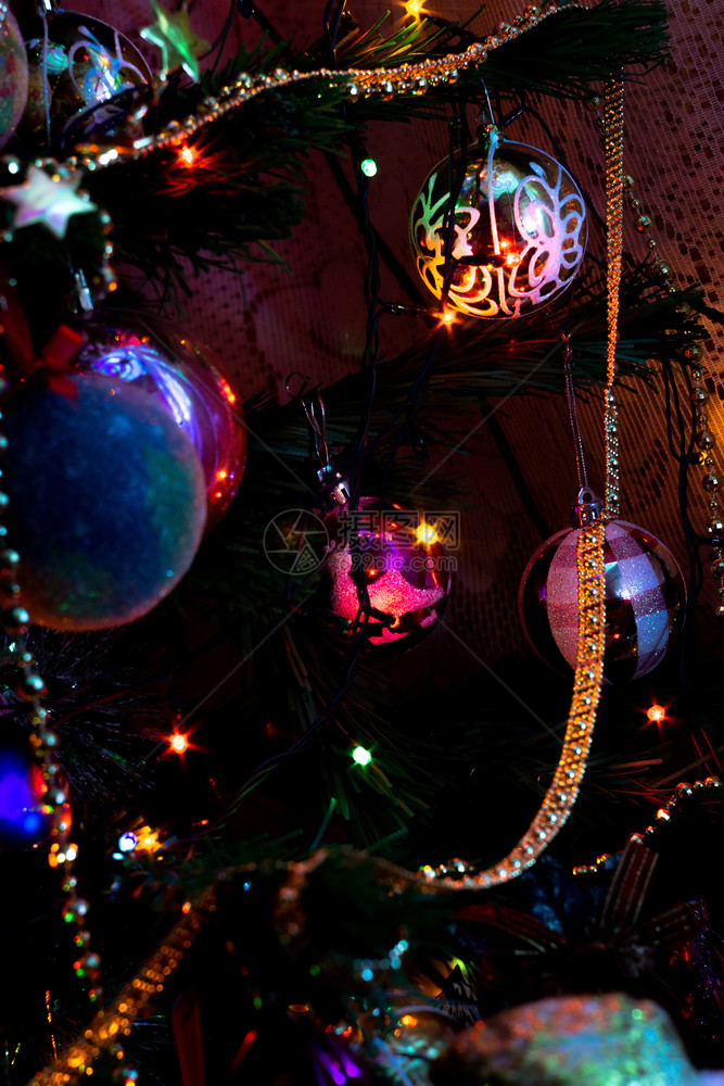 盛装的圣诞树和多彩园林灯光图片