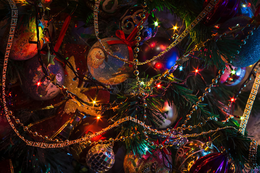 盛装的圣诞树和多彩园林灯光图片