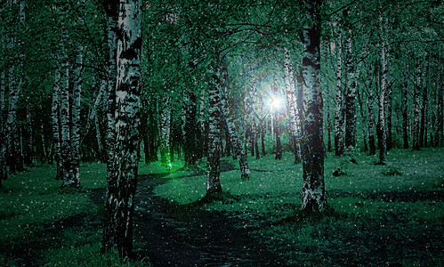 城市公园的风景树枝和神秘的光线编辑照片图片