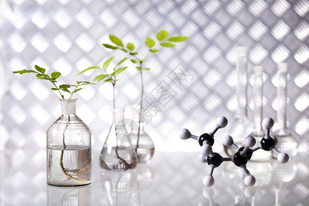 实验室玻璃转基因植物图片