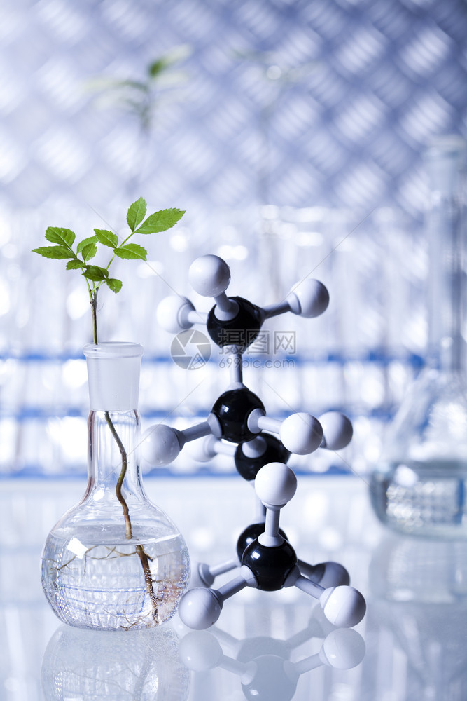 植物实验室科学图片