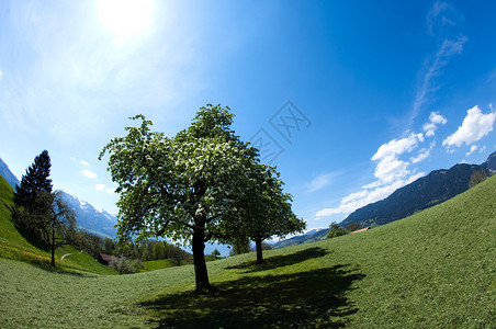 阿尔卑斯山泉自然多彩的音调图片