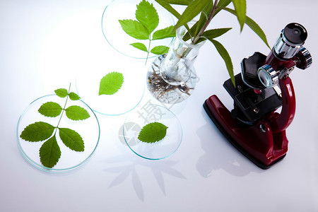 生物技术化学实验室玻璃软件生物有机现代技术有机现代概念图片