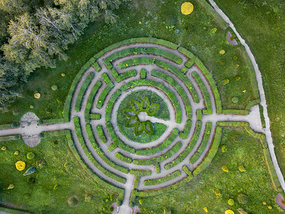 从无人机的鸟眼观察到夏季的植物园迷宫空中观察花园的自然迷宫无人机的照片背景图片