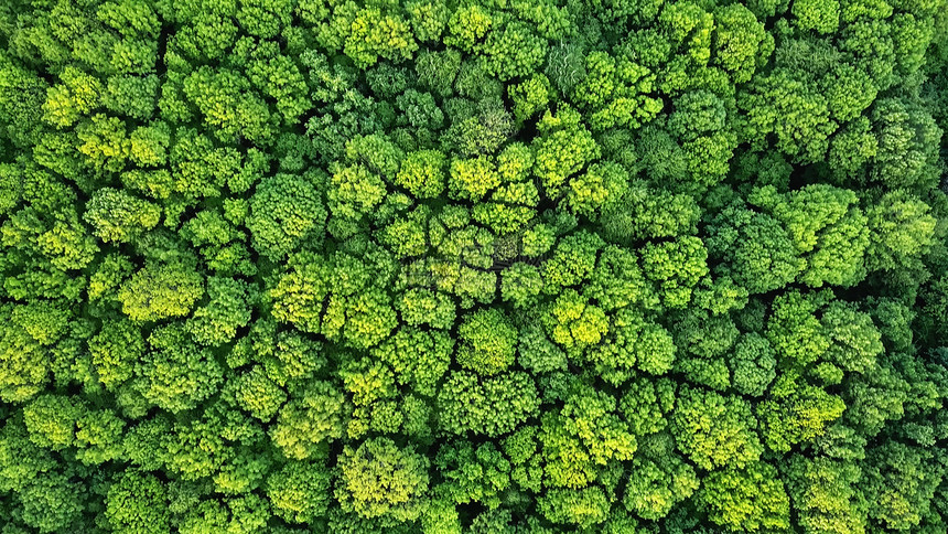 春季时森林是整个自然生态环境照片来自无人机空中观赏春季森林自然绿色背景照片来自无人机然绿色背景图片