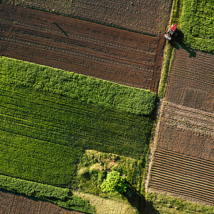 无人驾驶飞机拍摄的农业田地图片