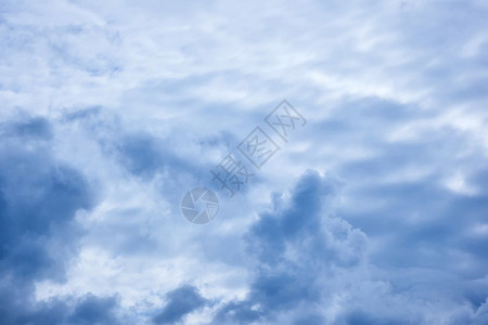飞机外面的蓝天白云和鸟背景图片