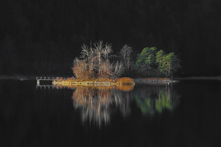 加米什帕滕基琴无叶树绿和橙的风景在低光线的伊布西湖上在德国的加米什巴彭基琴附近反射背景