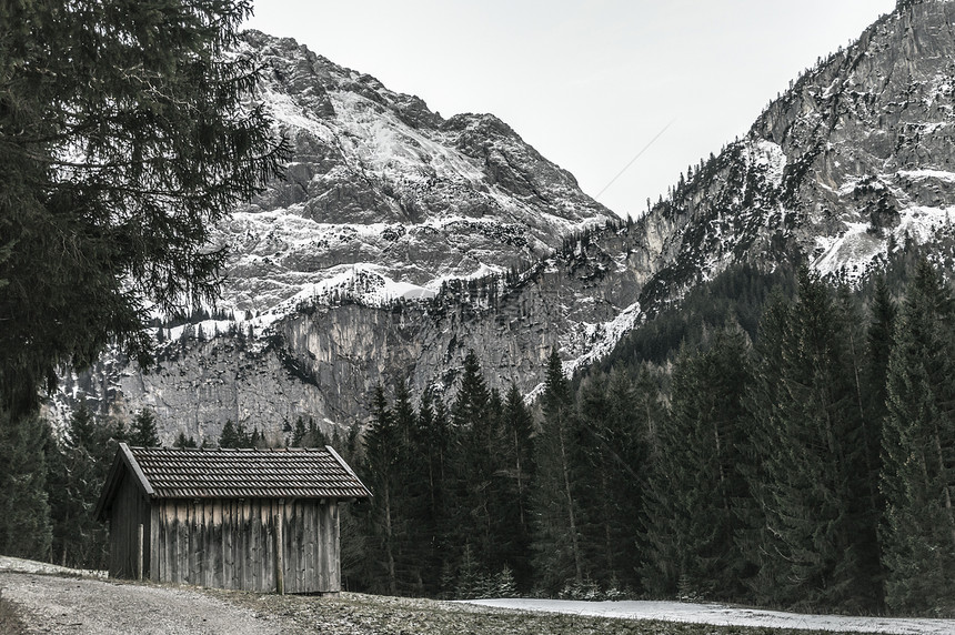 冬季风景中天气恶劣的木制谷仓有雪的奥斯特里亚阿尔卑山和永青松林图片