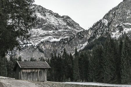 冬季风景中天气恶劣的木制谷仓有雪的奥斯特里亚阿尔卑山和永青松林图片