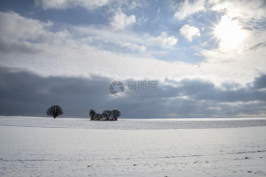 令人惊叹的冬季风景与一连串的树木隔离在一片大的田野上满是雪在一个阳光明媚的节日落靠近出德国图片