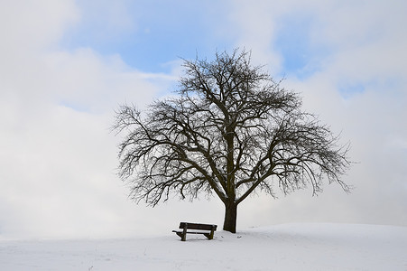 一颗枯树和一个板凳在白雪的冬季融合图片