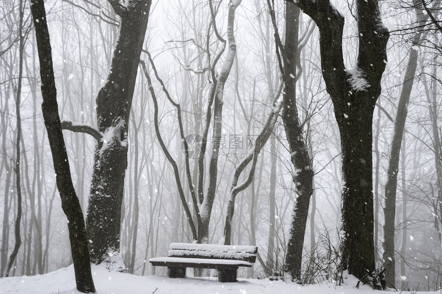 公园里的长凳被雪花覆盖图片