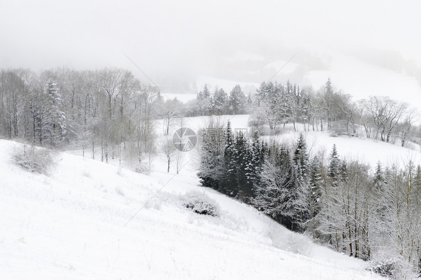 冬季风景山丘被雪覆盖图片