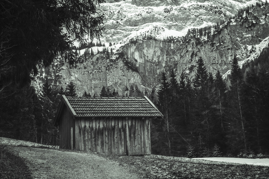冬季一幕在奥述山中央有一个年老的木谷仓背景是岩石山和fir树图片