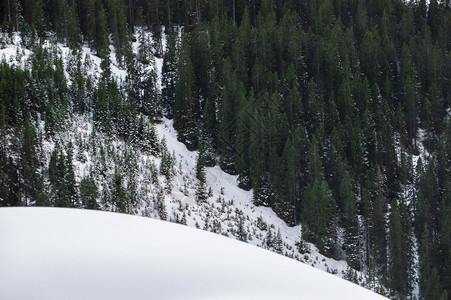 冬天的风景长生不息的森林和一堆雪在阿尔卑斯山里在奥特亚的厄尔沃德图片