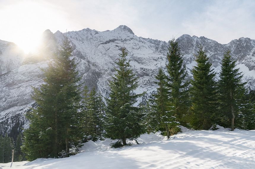 明亮的冬季风景雪盖着高山长青的森林在十月太阳下在奥斯特里亚的厄尔瓦德图片