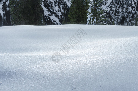 厚的雪层和冰森林树木在背景阿尔卑斯山脉在阳光明媚的十二月日在厄尔瓦德奥斯特里亚背景