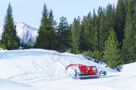 山上冬季活动有个红雪护师周围是阿尔卑斯山的雪林和绿在奥斯特里亚的厄尔瓦德背景