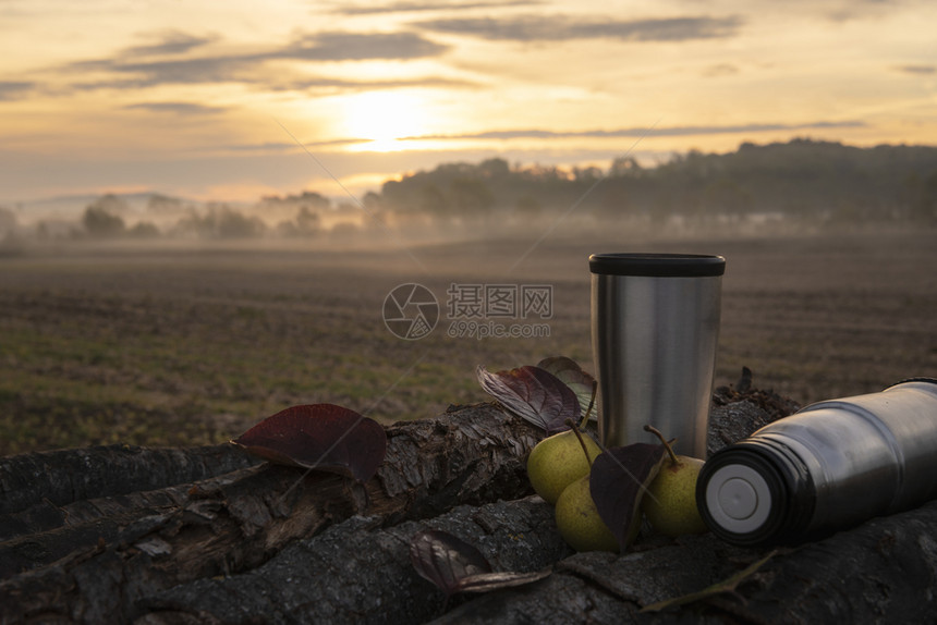 秋天早上的咖啡在热水池里户外在一堆木上周围有几颗梨子和落叶还有雾的日出图片