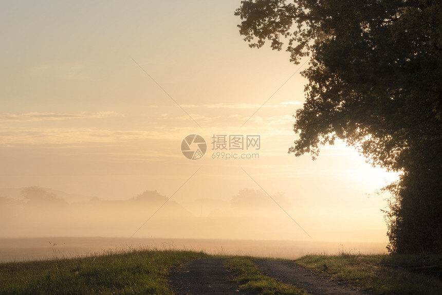 令人惊异的日出在一个迷雾的草原上和一条通往雾的步行道上在森林边缘秋天的阳光明媚一天在德国图片