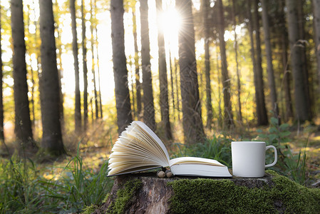 咖啡树素材阅读户外主题图象上面有一本开阔的书和杯咖啡在树根上背景