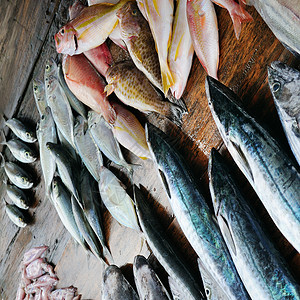 木桌上的鲜鱼图片