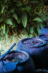 粘土锅中的异地染料植物发酵的传统过程图片