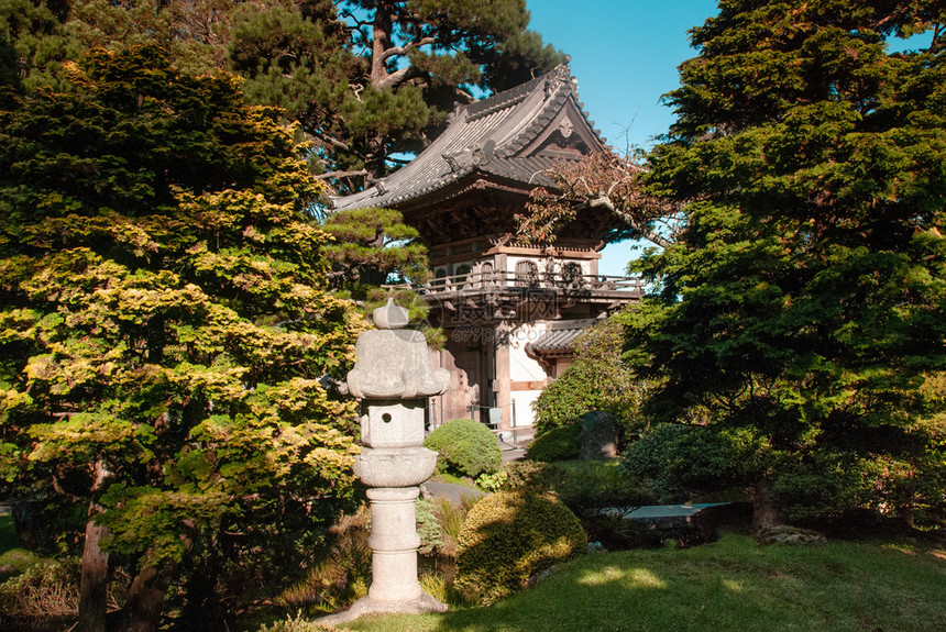 夏季在金门公园的日本茶圣弗朗西斯科哈里弗尼亚我们a图片