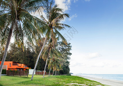 住院医师2013年月日在泰国夏的热带椰子树海滩上充满活力的现代别墅背景