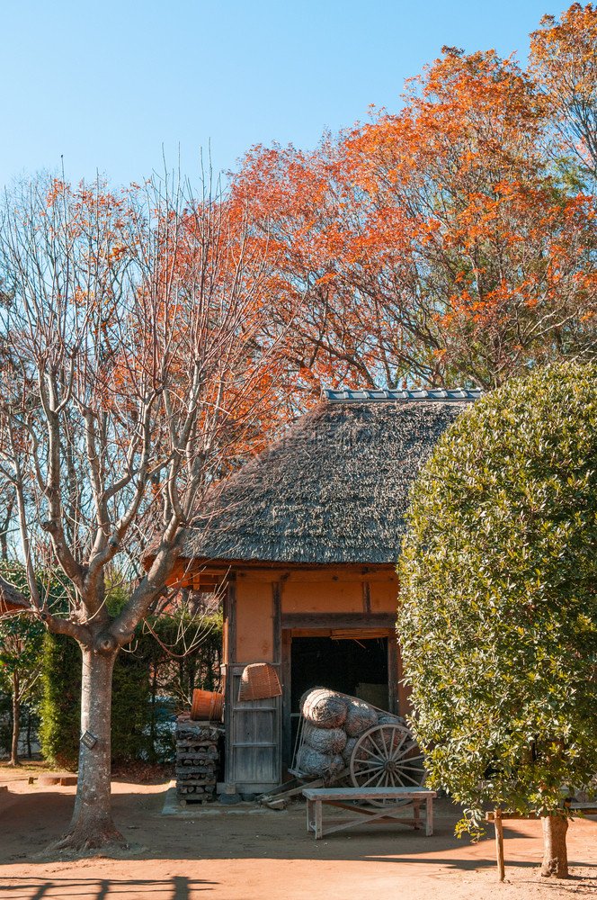 201年月日ChibaJpn古城村BosnMura露天博物馆的旧式的edo茅草露天博物馆的屋顶棚图片