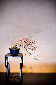 米娅201年月日奥米亚赛塔马日本木桌上的梅骨板位于邦赛村奥米亚博物馆传统日本风格的房间背景