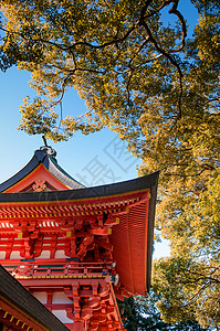 露米娅201年月日秋天阳光明媚的山川津贾神庙美丽的红门背景