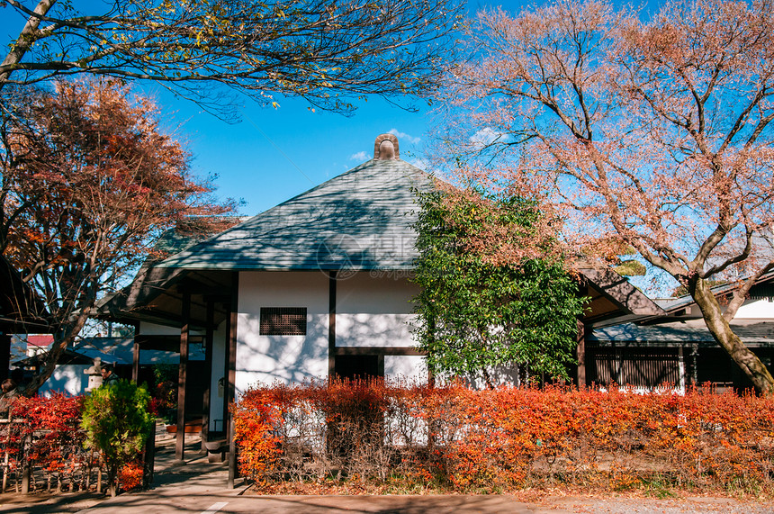 201年月日奥米亚赛塔马雅潘在Bonsai村的美丽老日本房子称为四季的丰盛小屋旅游别墅图片