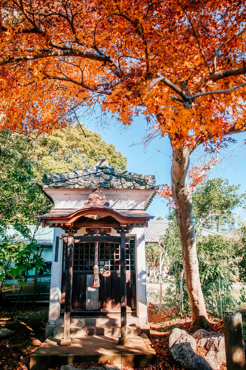 201年月日20年Chibajpn彩色红黄秋叶和武士村Sakur市前热辣屋的圣迹图片