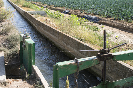 灌溉蔬菜植物的工具图片