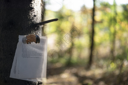 在树干挂着猎刀在上秋天的高清图片