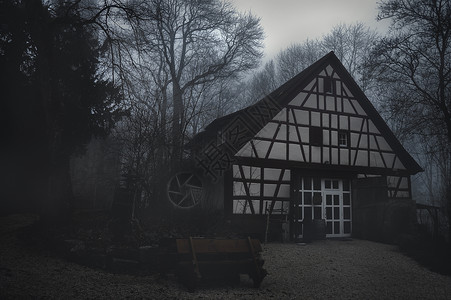 在寒冷的冬天在德国斯哈瓦比舍大厅附近一片漆黑的森林里被浓雾包围着一片空荡的废弃房屋幽暗景象背景图片