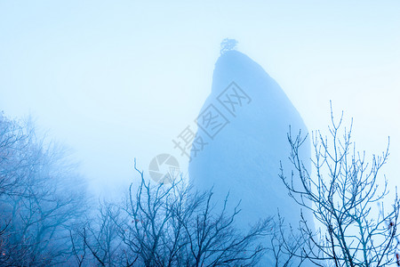 山雾秋林的风景图片