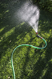 绿色草原上的花园水管和喷洒器高清图片